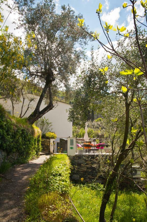 Il Giardino Di Fe Acomodação com café da manhã Sori Exterior foto